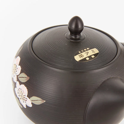 Tokoname Kyusu by Shunjugama – Hand-Painted Sakura Design | Obi-ami Filter | 500 ml